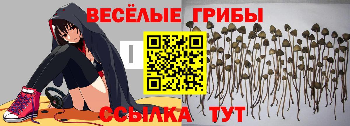 Галлюциногенные грибы MAGIC MUSHROOMS Орёл